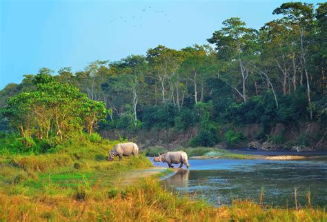 Naturaleza salvaje en el Parque Nacional de Chitwan – Mi Viaje