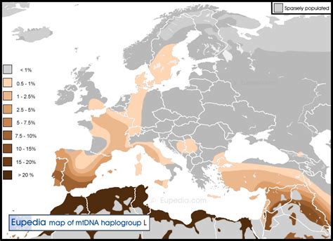 New map of mtDNA haplogroup L