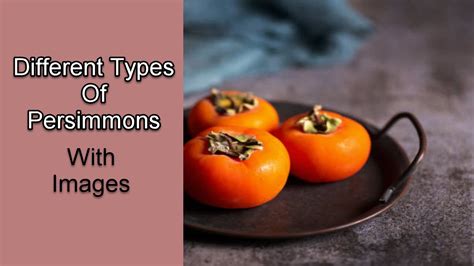 7 Different Types Of Persimmons With Images - Asian Recipe