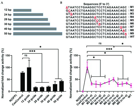 Effect of guide RNA design on Cas13a. (A) Length of guide RNA: 12, 24,... | Download Scientific ...