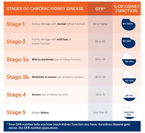 Estimated Glomerular Filtration Rate (eGFR) and Kidney Disease Stages | National Kidney Foundation