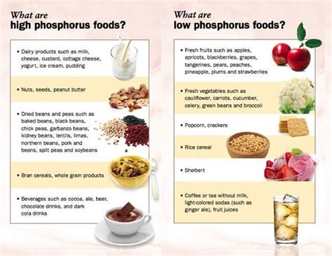 high phosphorus foods - Google Search Healthy Kidney Diet, Healthy Kidneys, Kidney Health ...