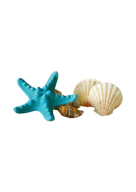 Seashell Starfish Sunscreen Gratis - Shells starfish png download - 2480*3508 - Free Transparent ...