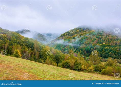 Forest on Mountain in Mist at Sunrise Stock Image - Image of green, mist: 181585365