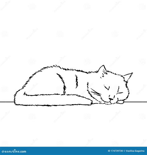 Drawing Of A Cute Sleeping Cat, Resting Its Head On Its Paw. Black And ...