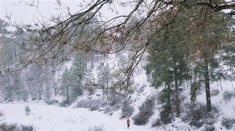 Attractions sell out, snowplows hard at work in Flagstaff