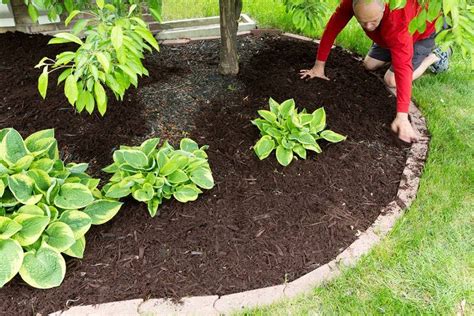 22 Garden Border and Edging Ideas