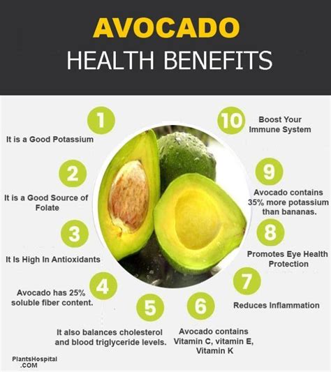 Home | Avocado benefits, Avocado health benefits, Health and nutrition