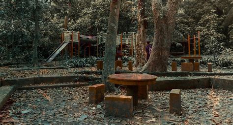 Abandoned playground in the woods | Abandoned theme parks, Abandoned ...