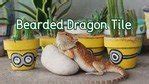 Guide To Use Tile Substrate In Bearded Dragon Enclosures