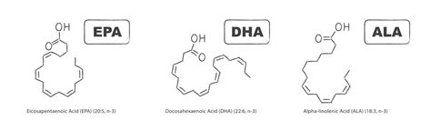 Breaking Down Omega-3 Fatty Acids: EPA, DHA, and ALA - Keto Science