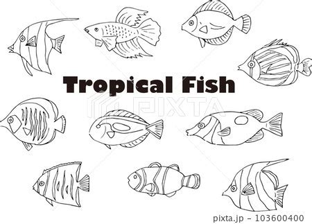 Tropical Fish Black And White Clipart