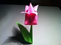 Origami Tulip Instructions and Diagram