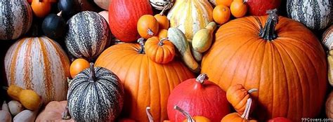 fall pumpkin facebook cover photos - Danette Ziegler