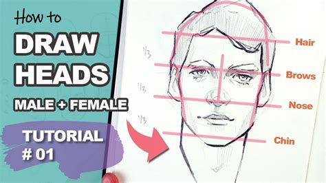 How To Draw A Male Head Step By Step - art-klutz