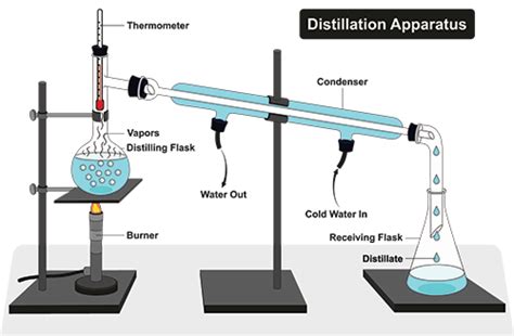 What is Steam Distillation of Essential Oils? | Ethos Natura