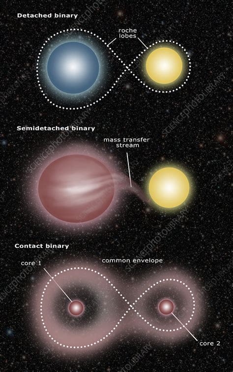 Binary Star Systems - Stock Image - C029/5861 - Science Photo Library