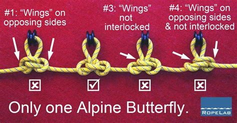 The Awesome Alpine Butterfly | Rope knots, Knots diy, Climbing knots