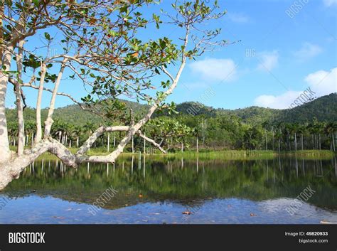 Cuba Nature Image & Photo (Free Trial) | Bigstock