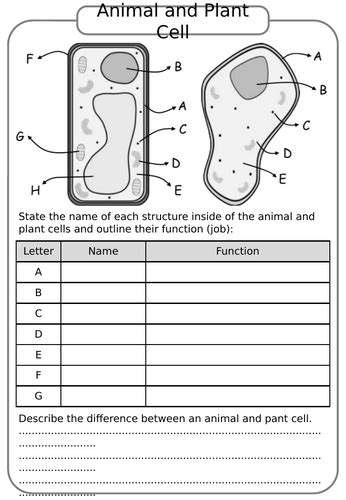 photosynthesis worksheet ks3 biology resources - animal and plant cells ks3 science biology ...