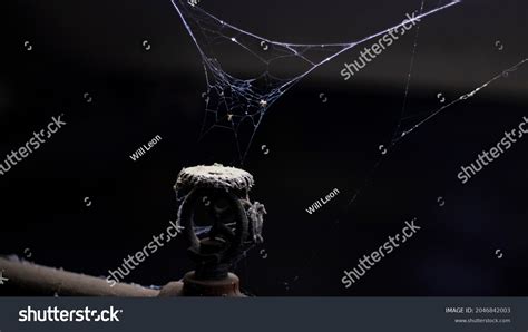 Creepy Spider Webs Garage Stock Photo 2046842003 | Shutterstock