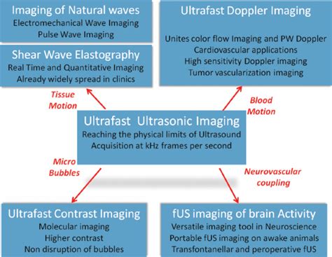 Some emerging and future applications of ultrafast ultrasound imaging. | Download Scientific Diagram