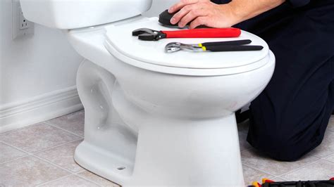 Toilet Repair & Installation Service In Riverview, FL | Curtis Plumbing