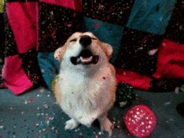 Wish Your Friends "Happy New Year" In GIFs! | GIPHY