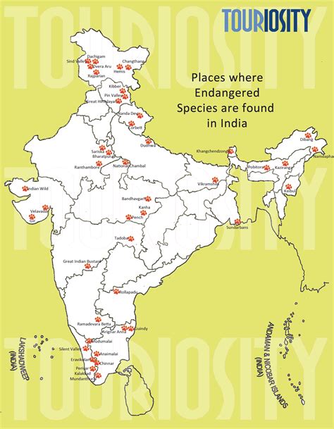 Endangered species in India and where to find them