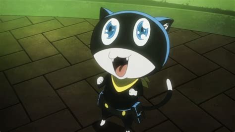 Persona 5 Morgana’s personality, skills, and more | Pocket Tactics