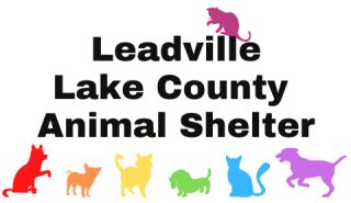 Animal Shelter | Lake County, CO