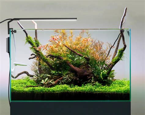 Live Aquarium Plants Led Lighting - Wese Aquarium Fish