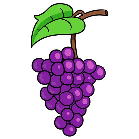 How to Draw Grapes - Easy Drawing Tutorial