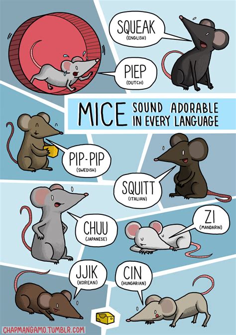 How Do Animals Sound In Different Languages? | Bored Panda