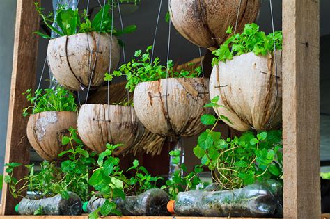 20+ Incredible Vegetable Garden Ideas – 2000 Daily