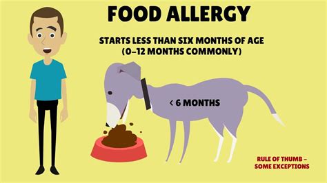 Symptoms of food allergy in dogs - YouTube