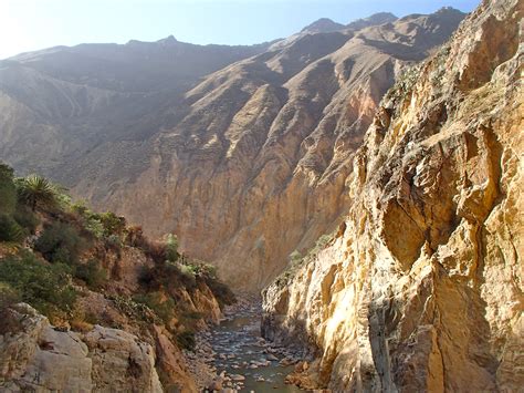 Peru’s Colca Canyon Trek and Birdwatching at the Cruz del Condors | See Her Travel