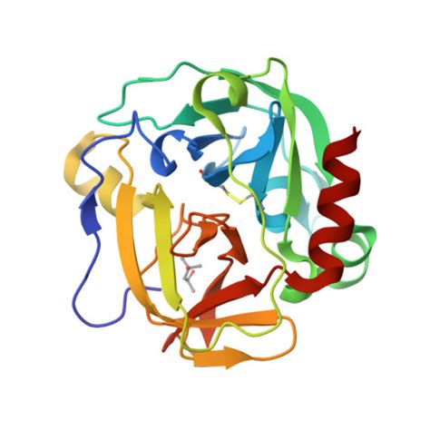 RCSB PDB - 1P3E: Structure of Glu endopeptidase in complex with MPD