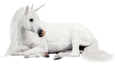 white Unicorn Unicorn Overlay realistic Unicorn PNG | Etsy