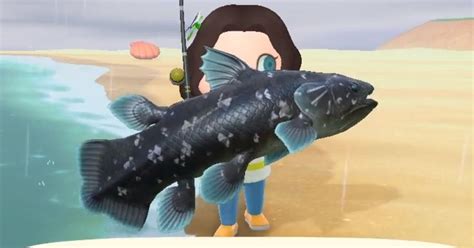 Animal Crossing Coelacanth: How to catch a Coelacanth in New Horizons | Eurogamer.net