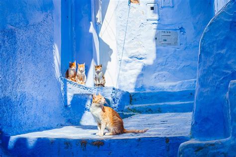 The Truth About Morocco's Blue City, Chefchaouen - Heart My Backpack