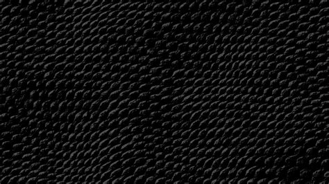 Dark Snake Wallpapers - Top Free Dark Snake Backgrounds - WallpaperAccess