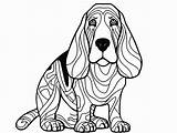 Basset Hound Coloring Inspiration  Page sketch template