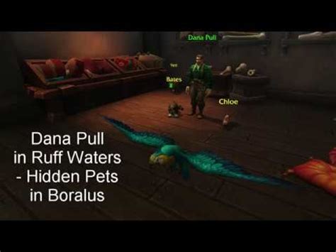 Dana Pull in Ruff Waters - Hidden Pets in Boralus - YouTube