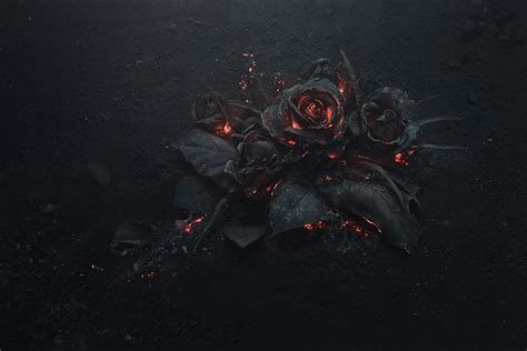 black rose illustration #rose #ash #burning #black #abstract #dark # ...