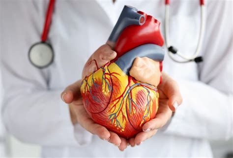 Doenças cardiovasculares: principal causa de morte no mundo pode ser ...