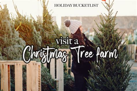 Christmas Trees Near Me - How to Find the Perfect Fresh Cut Tree