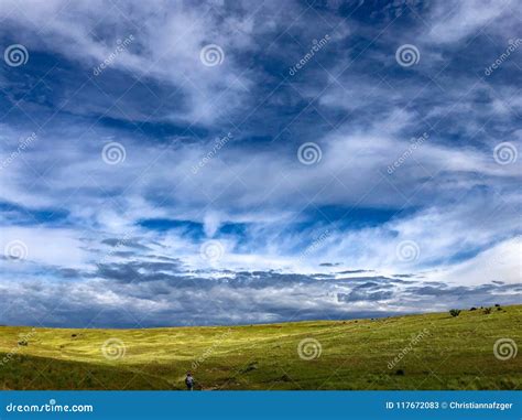 Boise, Idaho Foothills in the Spring Stock Image - Image of trails ...