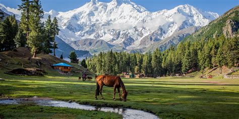 Fairy Meadows Gilgit Baltistan - Pakistan Travel Guide