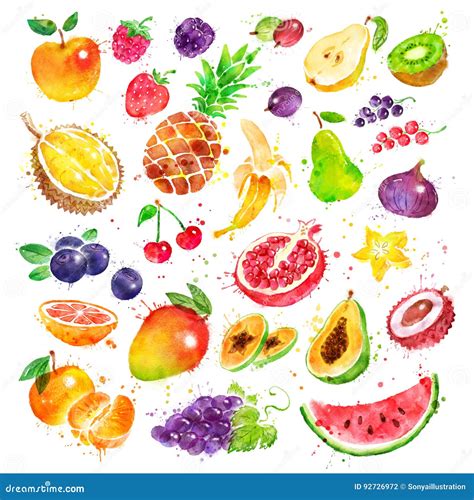 Hand Drawn Watercolor Set of Fruit Stock Illustration - Illustration of ...